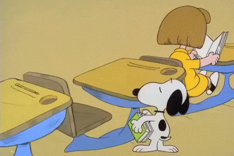 gif of snoopy sitting at a desk and opening a book